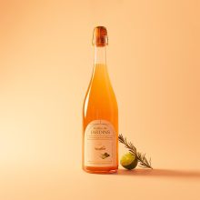 Vendanges vins Lausanne sans alcool